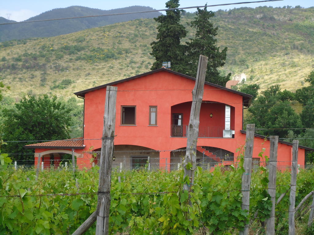 Agrituirsmo Masseria Campierti Falciano del Massico Екстериор снимка